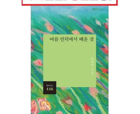 가성비최고 여름언덕에서배운것 추천상품