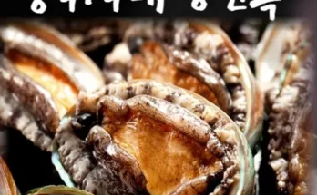 가성비최고 완도활전복 왕특특대 6미 가격 최저가