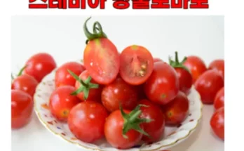 가성비최고 스테비아 대추방울토마토 2kg  가격 최저가