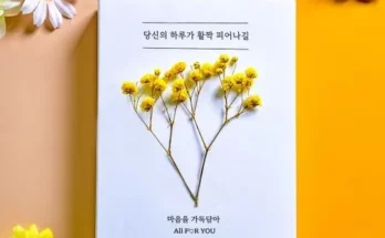 가성비최고 시논감성 가격 최저가