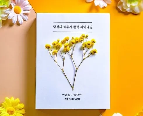 가성비최고 시논감성 가격 최저가