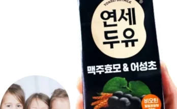 가성비최고 연세두유 맥주효모어성초 190mL 24팩2박스 추천상품