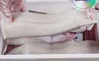 가성비최고 국내산 자연산 바다장어 260g x 9팩  양념소스 10팩 가격 최저가