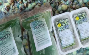 가성비최고 다슬기국 추천상품