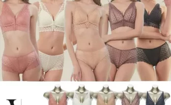 가성비최고 발레리 시그니처 프론트 훅 레이스 브라렛패키지 5세트 추천상품