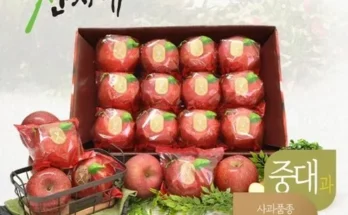 가성비최고 산지애 사과 9kg 가격 최저가 가성비최고 산지애 사과 9kg 가격 최저가