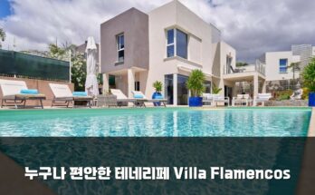누구나 편안한 테네리페 Villa Flamencos