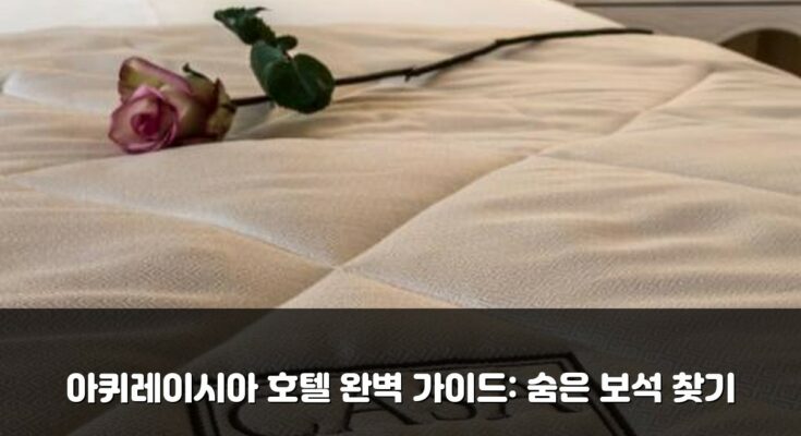 아퀴레이시아 호텔 완벽 가이드: 숨은 보석 찾기