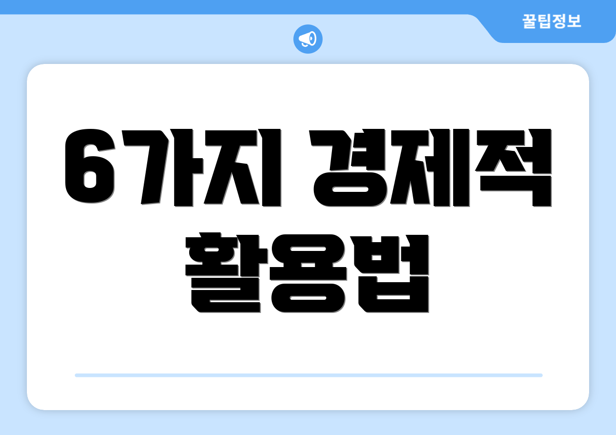 6가지 경제적 활용법