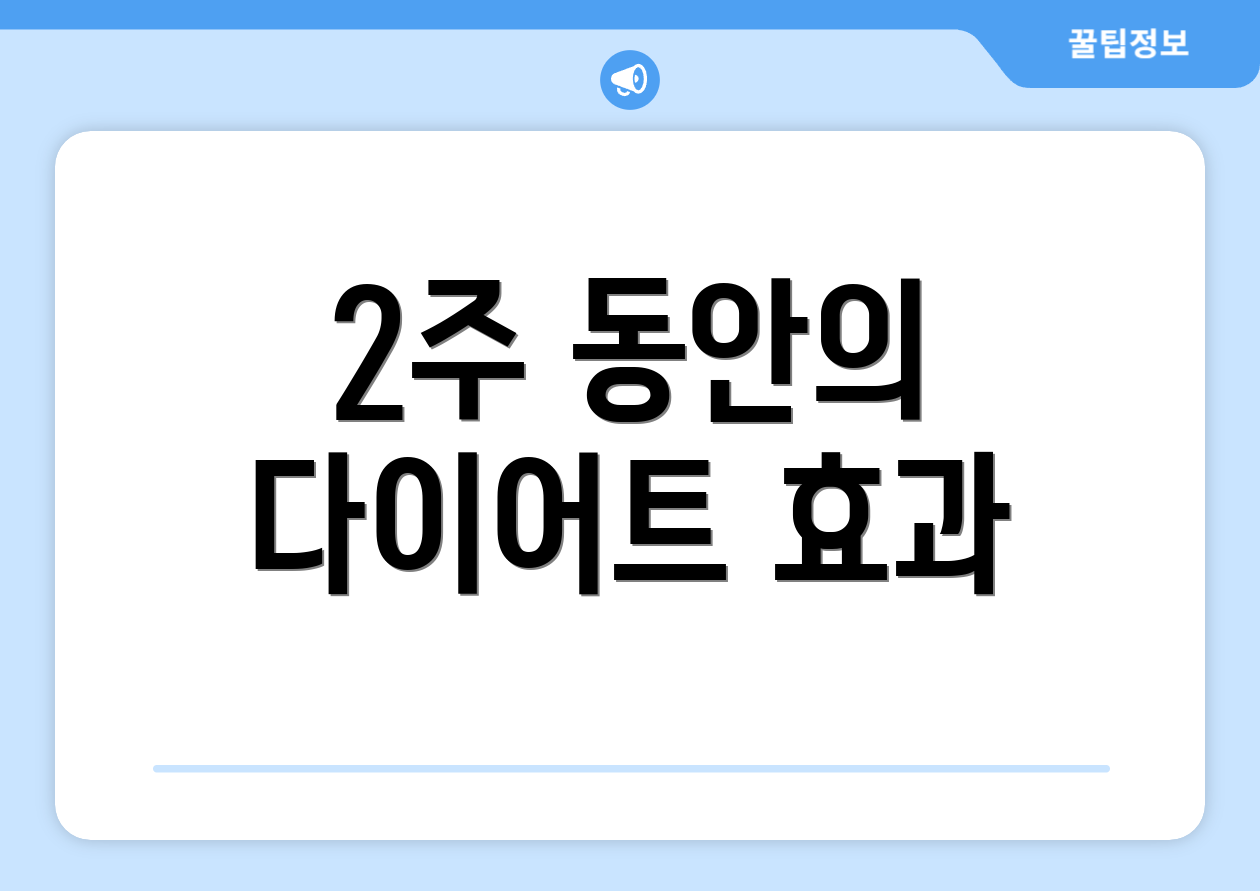 2주 동안의 다이어트 효과