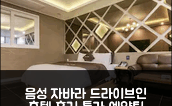 음성 자바라 드라이브-인 음성 호텔 후기X특가 예약팁