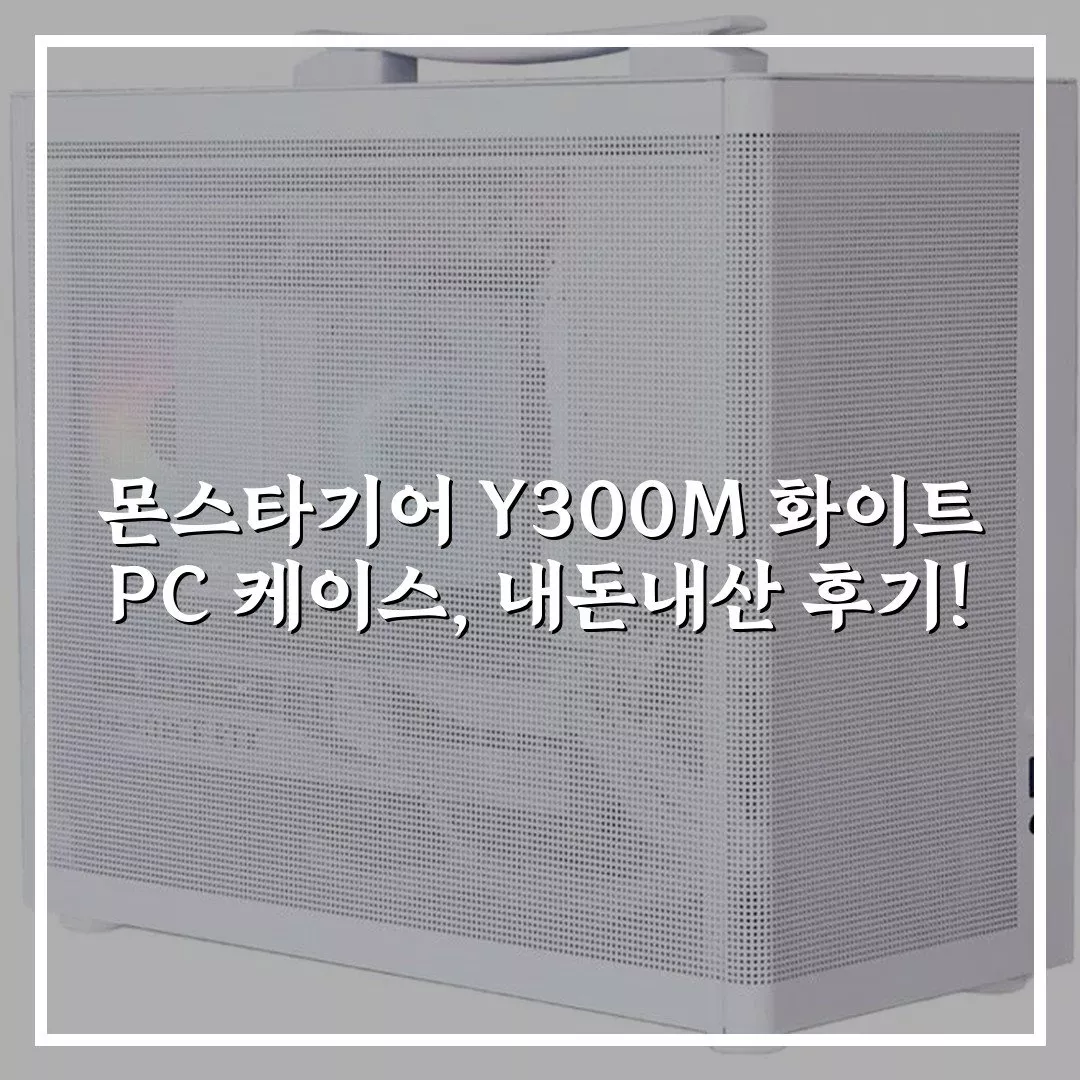 몬스타기어 Y300M 화이트 PC 케이스, 내돈내산 후기!